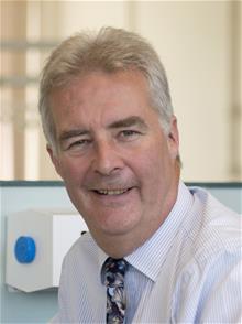 Image shows Council member Mike Lewis