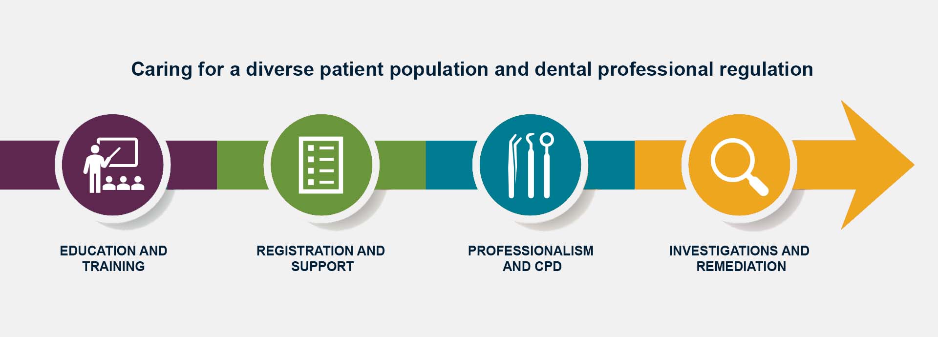 Caring for a diverse patient population and dental regulation, showing a flow chart from education and training, onto registration and support, to professionalism and CPD and finally, investigations and remediation
